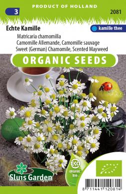 Chamomile BIO (Matricaria recutita) 1200 seeds